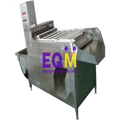 Food Processing Machines in China