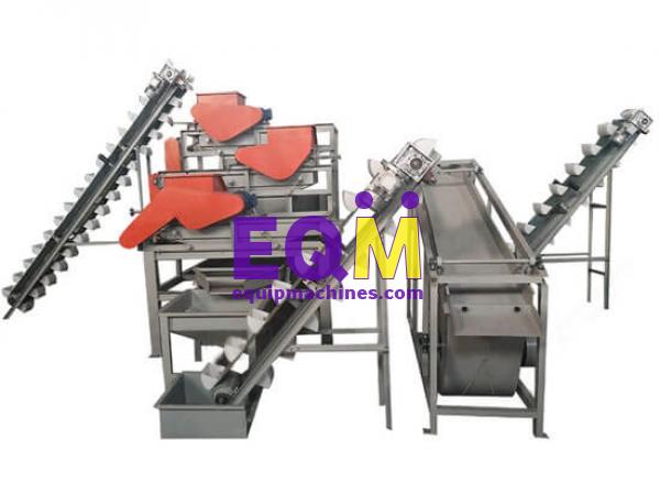 Almond Shelling Machine