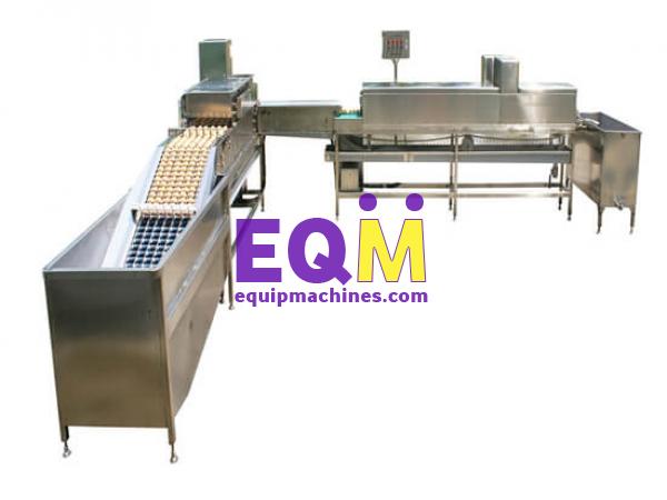 Salted Egg Cleaning Machine