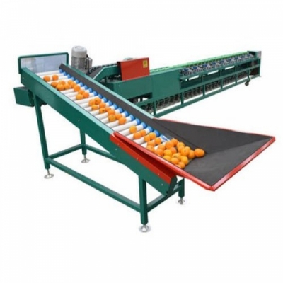 Automatic Fruit And Vegetable Sorting Machine