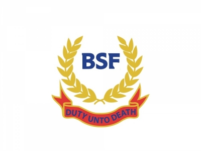 Army Military BSF Logo