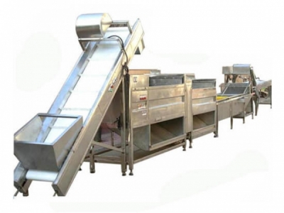 Vegetable Washing Peeling Processing Line